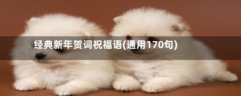 经典新年贺词祝福语(通用170句)