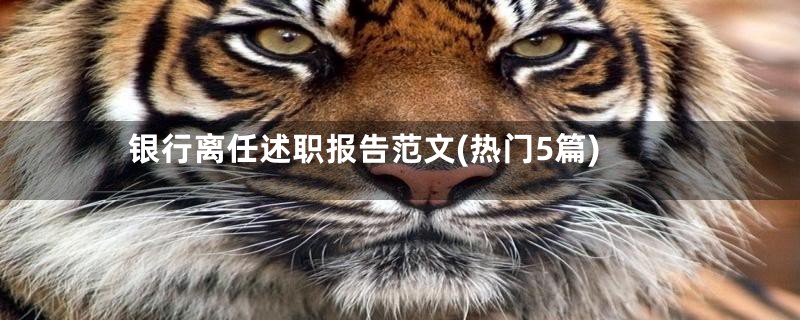 银行离任述职报告范文(热门5篇)