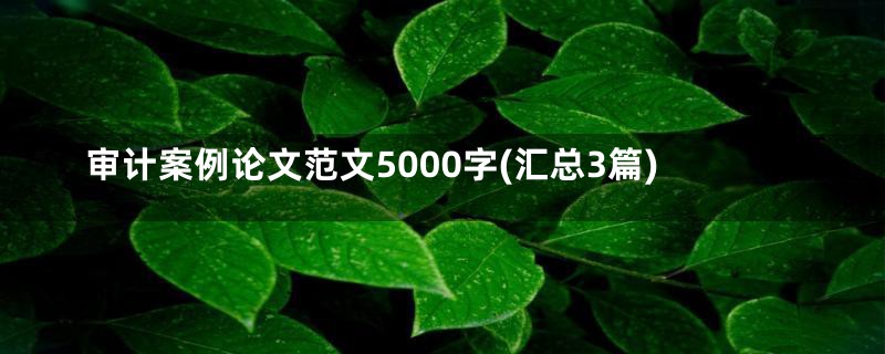 审计案例论文范文5000字(汇总3篇)
