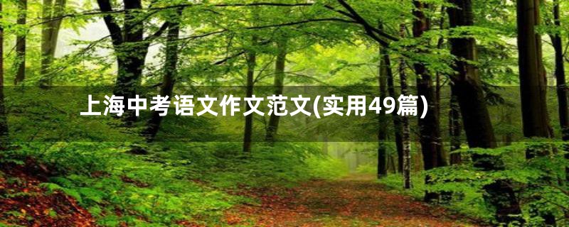 上海中考语文作文范文(实用49篇)