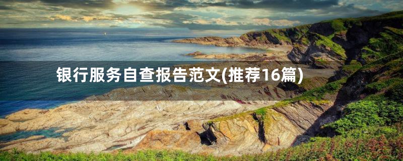 银行服务自查报告范文(推荐16篇)