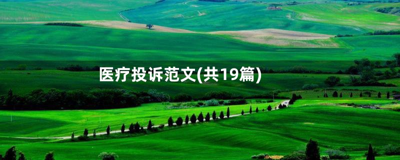 医疗投诉范文(共19篇)