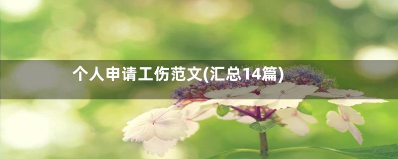个人申请工伤范文(汇总14篇)