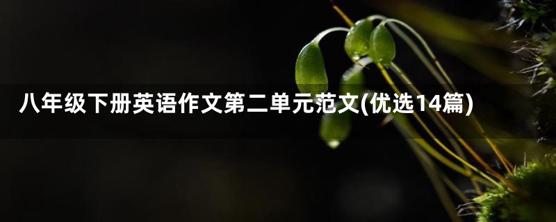 八年级下册英语作文第二单元范文(优选14篇)