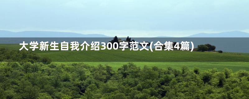大学新生自我介绍300字范文(合集4篇)