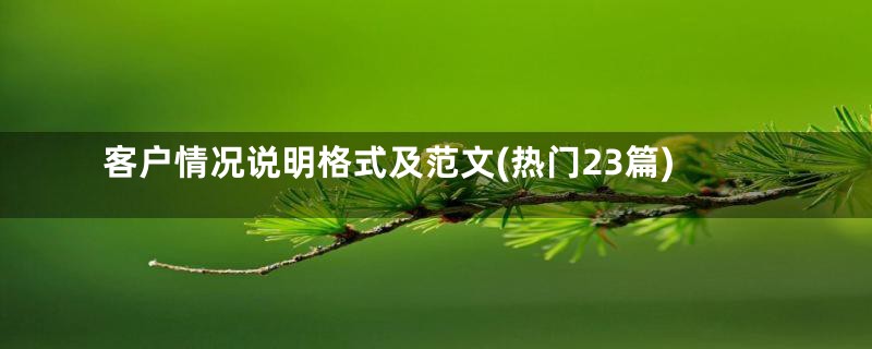客户情况说明格式及范文(热门23篇)