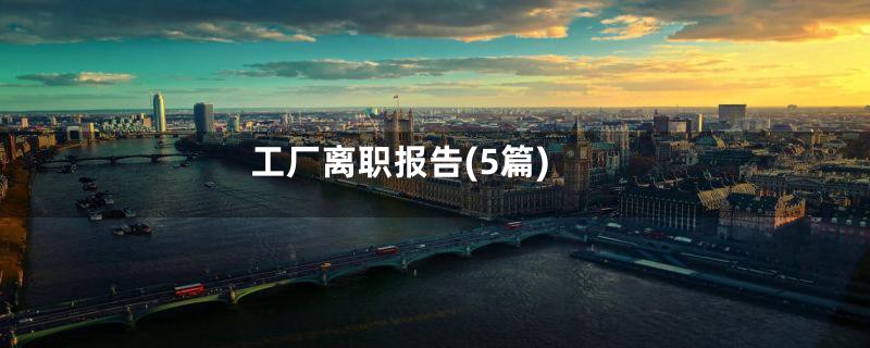 工厂离职报告(5篇)