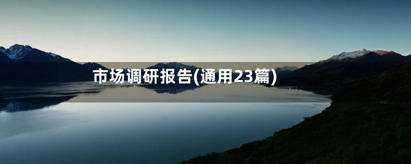 市场调研报告(通用23篇)