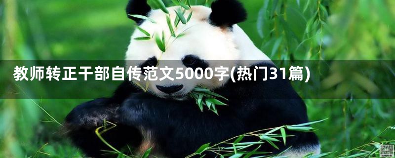 教师转正干部自传范文5000字(热门31篇)