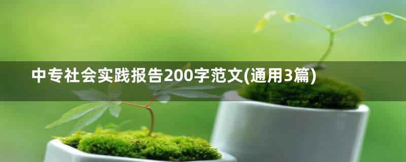 中专社会实践报告200字范文(通用3篇)