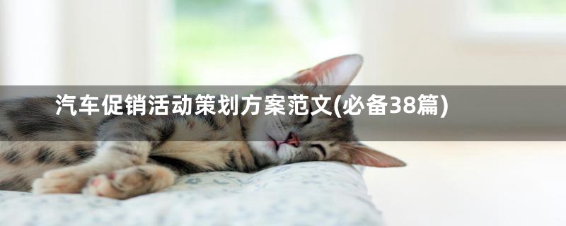 汽车促销活动策划方案范文(必备38篇)