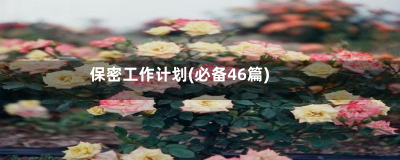 保密工作计划(必备46篇)
