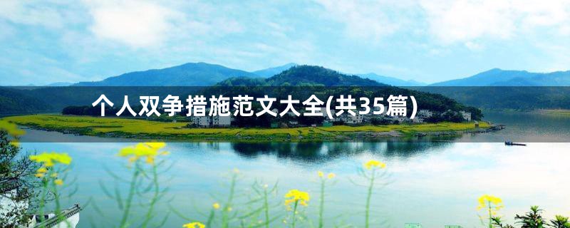 个人双争措施范文大全(共35篇)