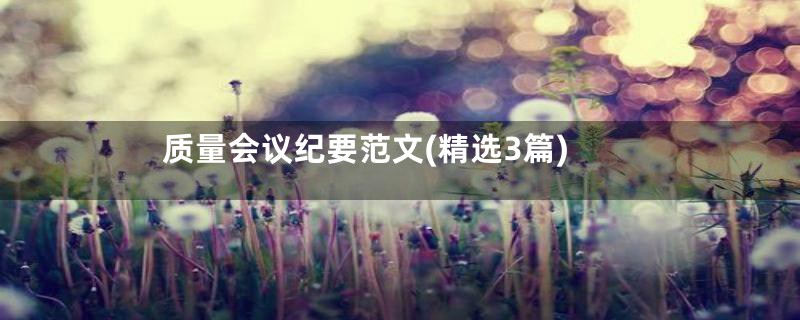 质量会议纪要范文(精选3篇)