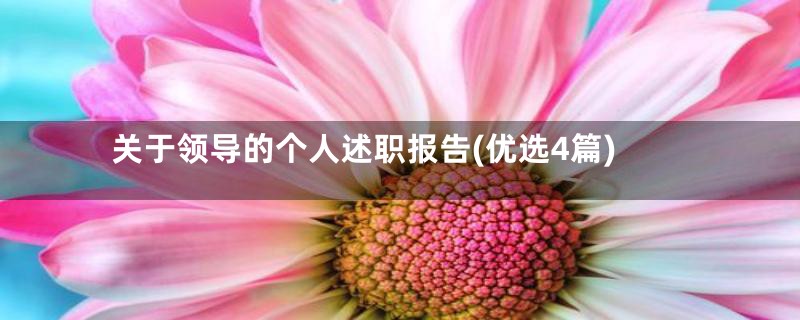 关于领导的个人述职报告(优选4篇)