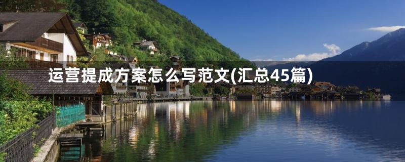 运营提成方案怎么写范文(汇总45篇)
