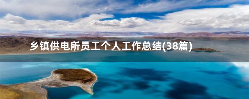 乡镇供电所员工个人工作总结(38篇)