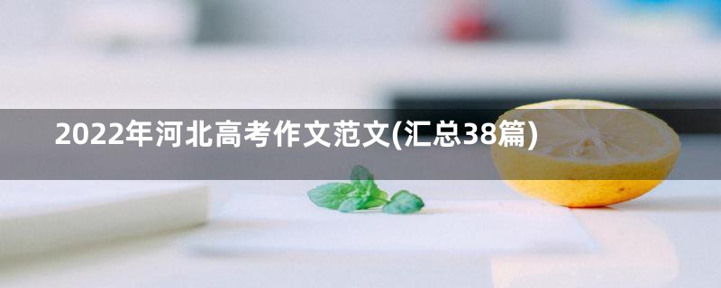 2022年河北高考作文范文(汇总38篇)