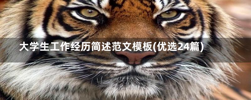 大学生工作经历简述范文模板(优选24篇)