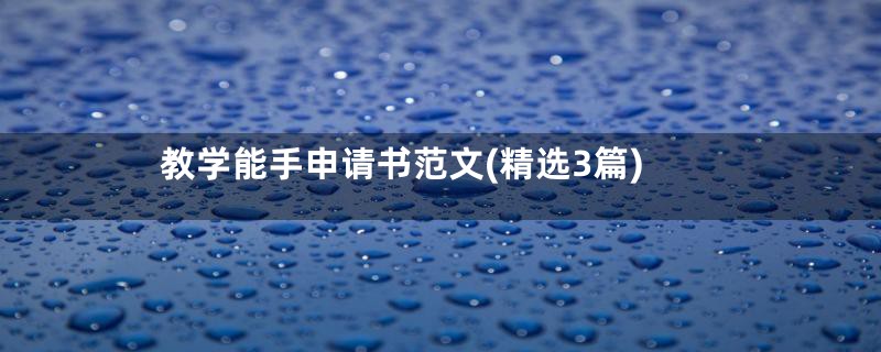教学能手申请书范文(精选3篇)