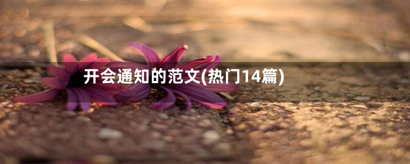 开会通知的范文(热门14篇)