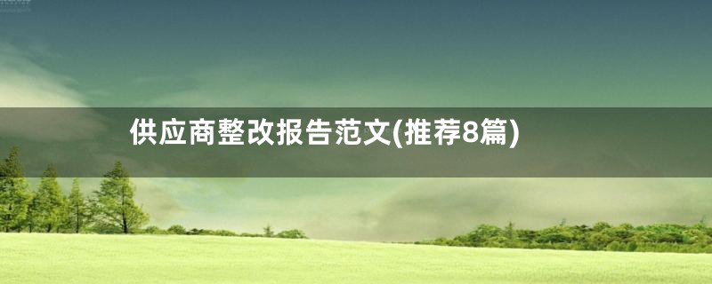 供应商整改报告范文(推荐8篇)