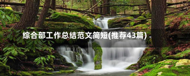 综合部工作总结范文简短(推荐43篇)