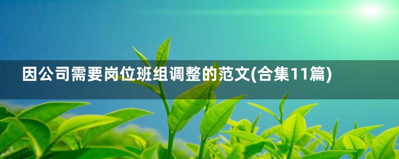因公司需要岗位班组调整的范文(合集11篇)