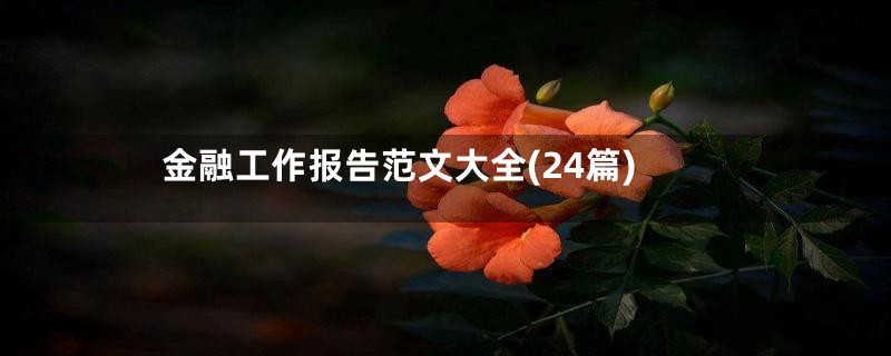 金融工作报告范文大全(24篇)