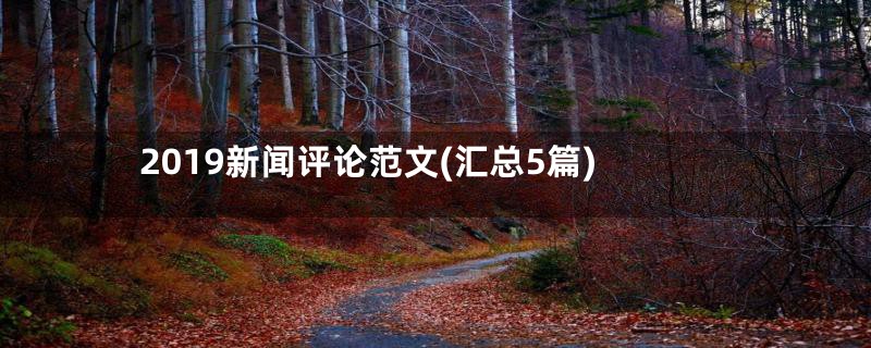 2019新闻评论范文(汇总5篇)