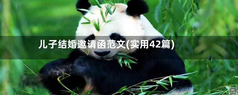 儿子结婚邀请函范文(实用42篇)