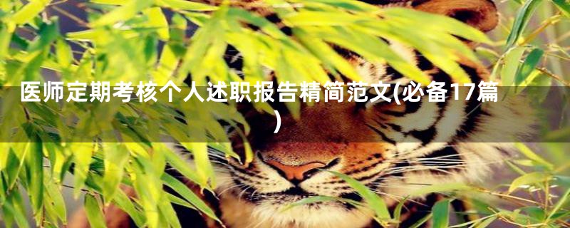 医师定期考核个人述职报告精简范文(必备17篇)