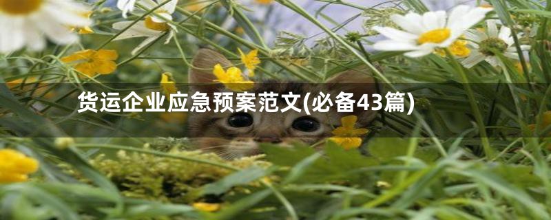 货运企业应急预案范文(必备43篇)