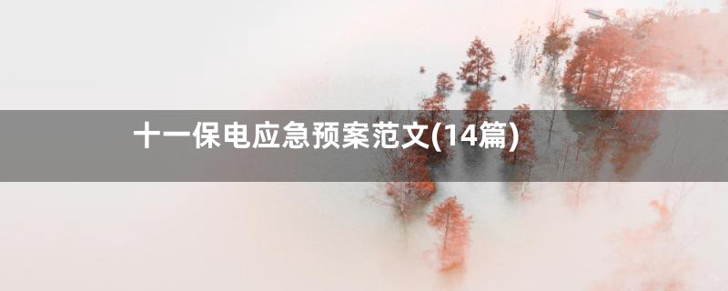 十一保电应急预案范文(14篇)