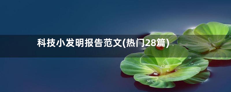 科技小发明报告范文(热门28篇)