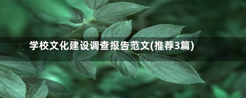 学校文化建设调查报告范文(推荐3篇)