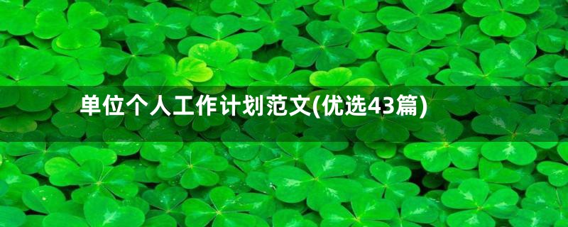 单位个人工作计划范文(优选43篇)