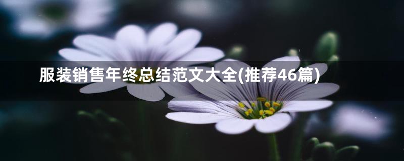 服装销售年终总结范文大全(推荐46篇)