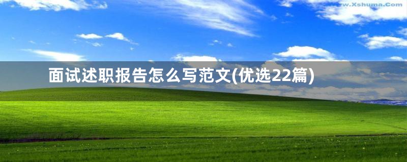 面试述职报告怎么写范文(优选22篇)