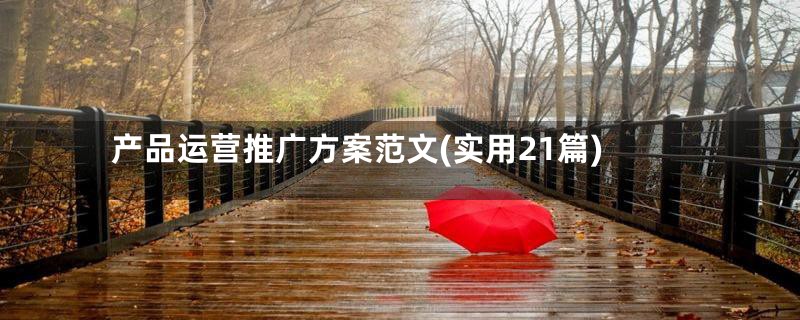 产品运营推广方案范文(实用21篇)