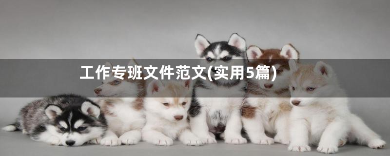 工作专班文件范文(实用5篇)