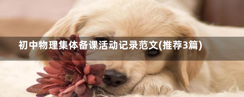 初中物理集体备课活动记录范文(推荐3篇)