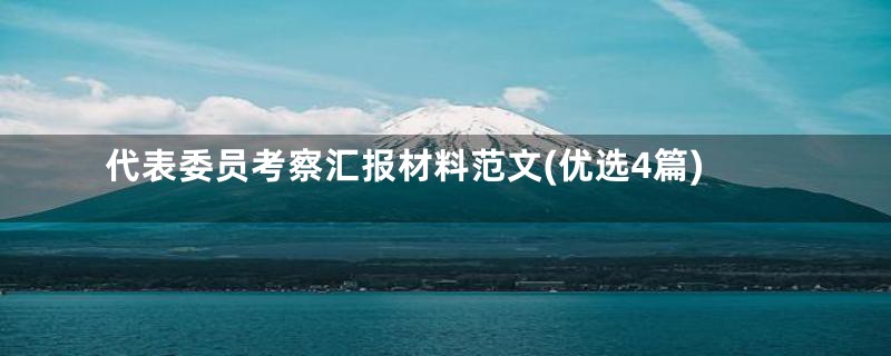 代表委员考察汇报材料范文(优选4篇)