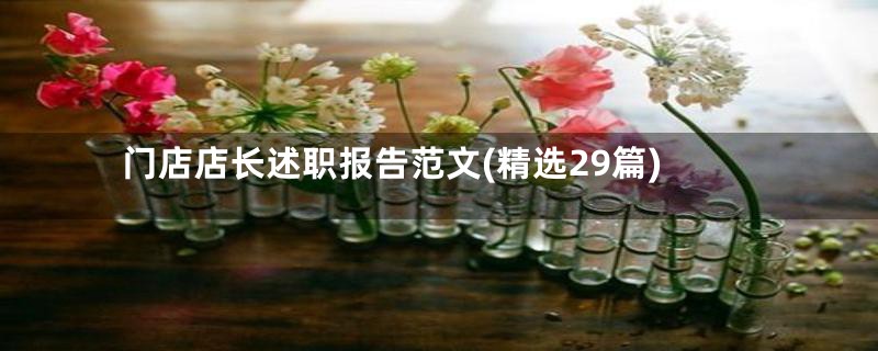 门店店长述职报告范文(精选29篇)