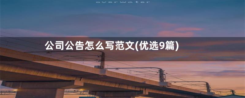 公司公告怎么写范文(优选9篇)