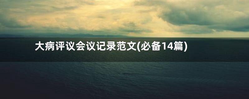 大病评议会议记录范文(必备14篇)