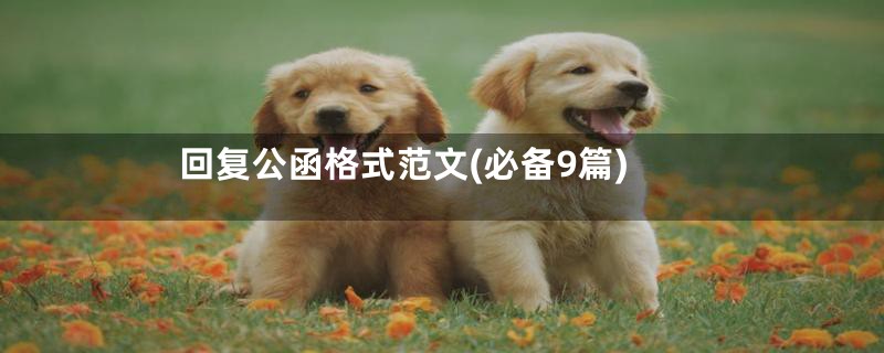 回复公函格式范文(必备9篇)