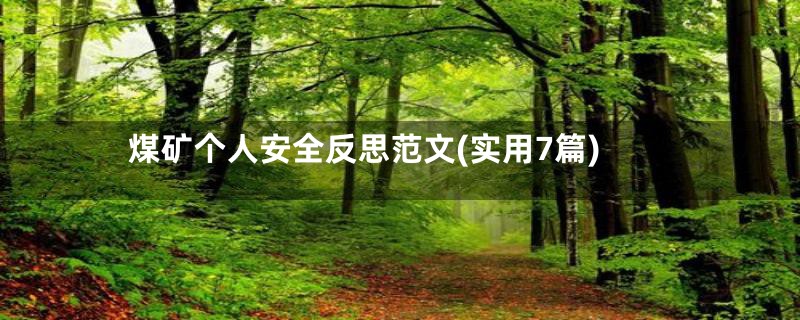 煤矿个人安全反思范文(实用7篇)
