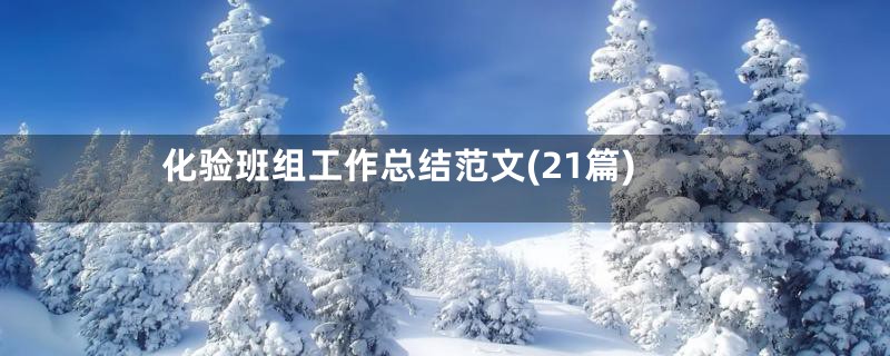 化验班组工作总结范文(21篇)