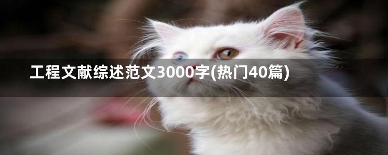 工程文献综述范文3000字(热门40篇)